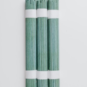pâtes à la spiruline